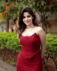 Chandigarh Call Girl Services